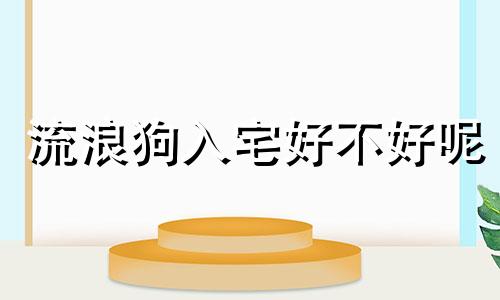 流浪狗入宅好不好呢 流浪狗入屋好不好