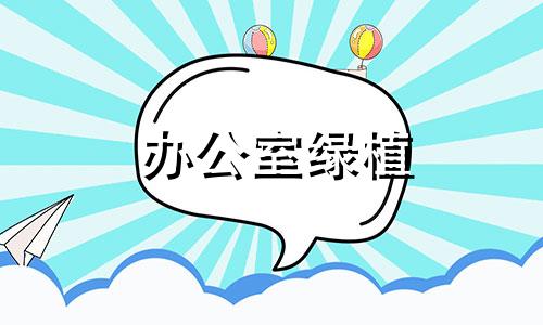 办公室绿植 旺财 办公室绿植招财