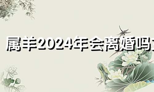 属羊2024年会离婚吗女 79年羊女在2024年婚姻状况