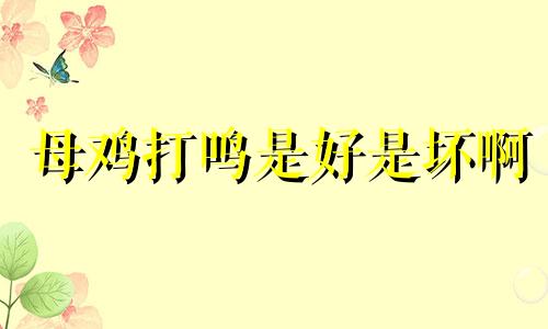 母鸡打鸣是好是坏啊 母鸡打鸣什么预兆