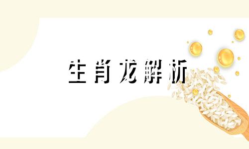 生肖龙解析 生肖属相龙