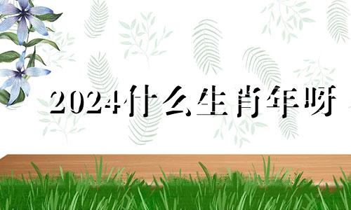 2024什么生肖年呀 2024年是龙年还是兔年