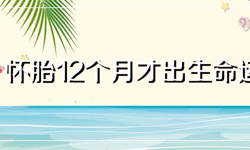 怀胎12个月才出生命运 有福气吗