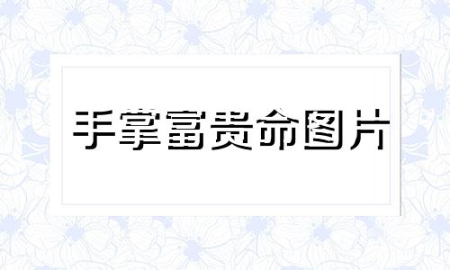 手掌富贵命图片 从手掌看你一生富贵层次