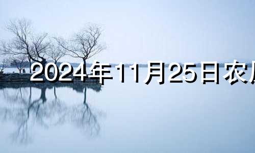 2024年11月25日农历 2034年11月25日