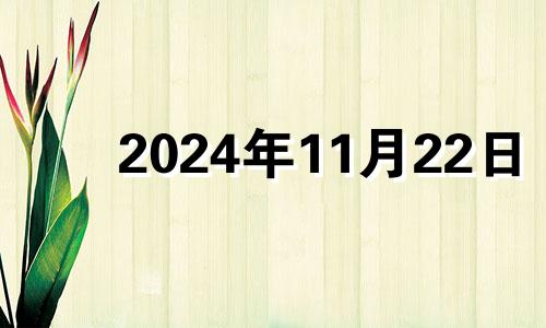 2024年11月22日 2024年11月11日星期几