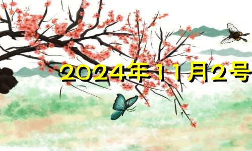 2024年11月2号 2024年11月20日