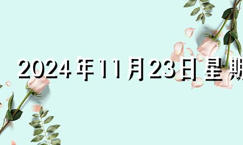 2024年11月23日星期几 2024年11月日历表