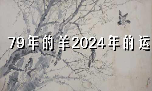 79年的羊2024年的运程 79年属羊女最难熬的年