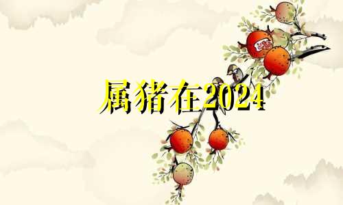 属猪在2024 属猪2024年多大年龄