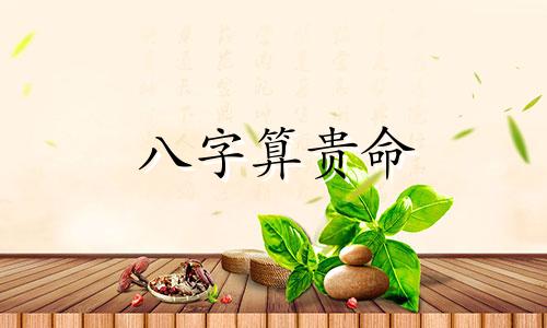 八字算贵命 八字贵命的断语