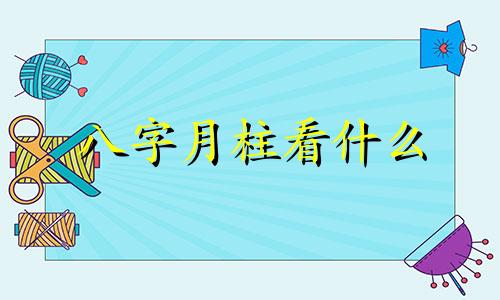 八字月柱看什么 八字月柱看命解读