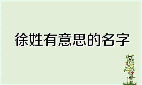 徐姓有意思的名字 有诗意的徐姓名字