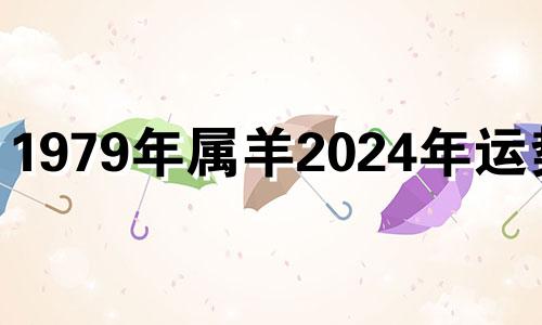 1979年属羊2024年运势女 79年属羊2024年每月运势