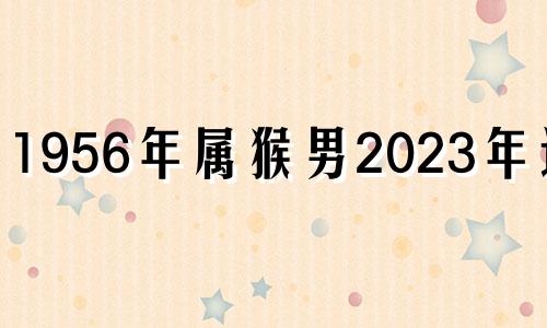 1956年属猴男2023年运势 1956年男猴人2020年财运