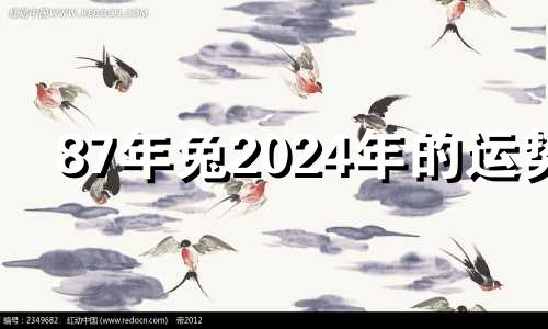 87年兔2024年的运势 63年属兔人寿命有多长