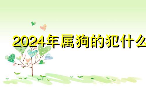 2024年属狗的犯什么 为什么2024年属狗的是一个坎