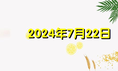 2024年7月22日 2024年7月6日是什么日子