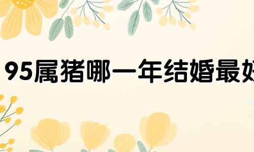 95属猪哪一年结婚最好 95属猪哪一年结婚最好(详解)