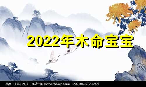 2022年木命宝宝 2020年木属性名字