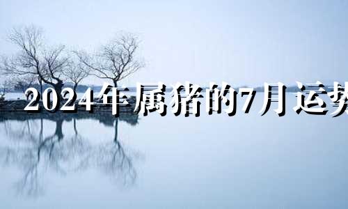 2024年属猪的7月运势 属猪的七月二十四命运