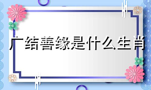 广结善缘是什么生肖 广结善缘意思