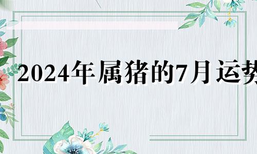 2024年属猪的7月运势 2021年7月24五行穿衣指南