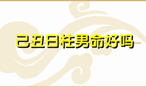 己丑日柱男命好吗 己丑日柱男命配偶长相