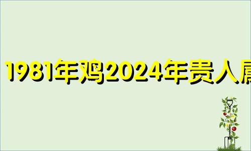 1981年鸡2024年贵人属虎 属鸡2024年家破人亡