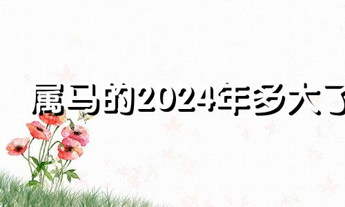 属马的2024年多大了 属猪的2024年多大了