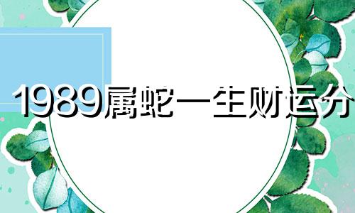 1989属蛇一生财运分析