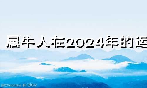 属牛人在2024年的运势 生肖牛2024年运势