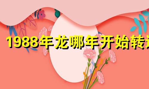 1988年龙哪年开始转运 1988属龙人35岁到37岁运程