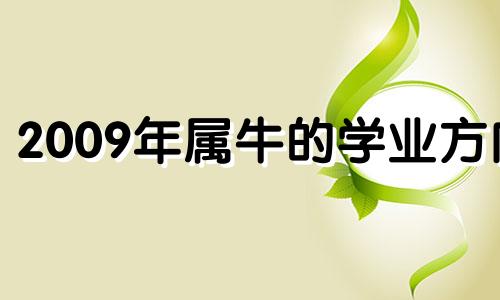 2009年属牛的学业方向 2009属牛学业