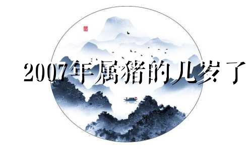 2007年属猪的几岁了 2007年属猪的虚岁是多大