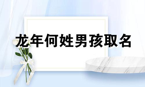 龙年何姓男孩取名 姓何的龙凤胎名字大全