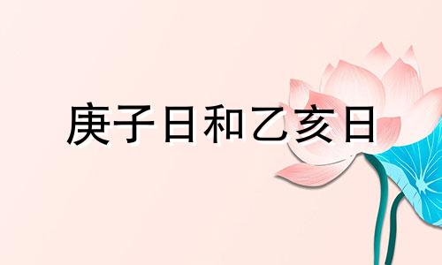 庚子日和乙亥日 庚子日柱和乙巳日柱婚配