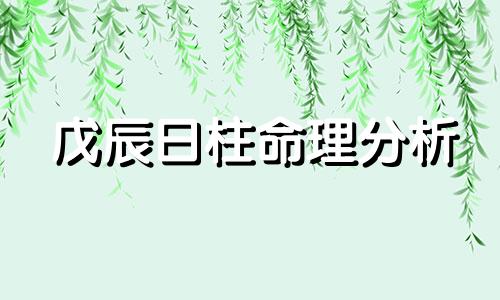 戊辰日柱命理分析 戊辰日柱好不好