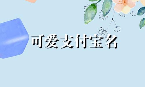 可爱支付宝名 有趣的支付宝昵称