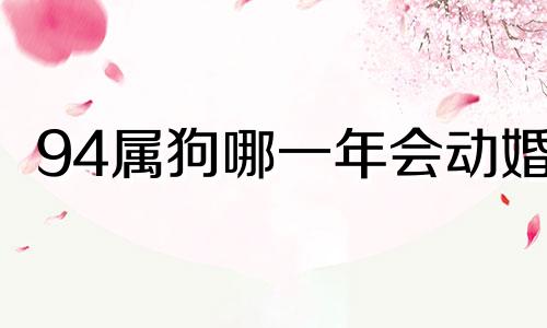 94属狗哪一年会动婚 94年属狗会有第二次婚姻吗