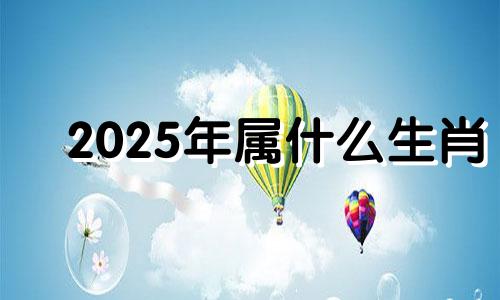 2025年属什么生肖