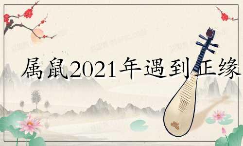 属鼠2021年遇到正缘 21年属鼠的正缘在几月份