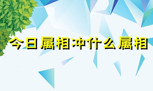 今日属相冲什么属相 今日属相冲什么属相2024310