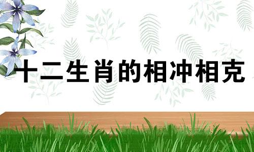 十二生肖的相冲相克 十二生肖相冲相克相害相刑表