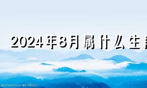 2024年8月属什么生肖 2024年8月1日出生