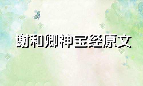 谢和卿神宝经原文 