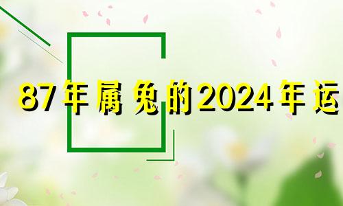 87年属兔的2024年运势 87年属兔的在2024年怎么样?