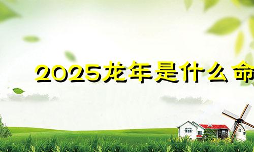 2025龙年是什么命 