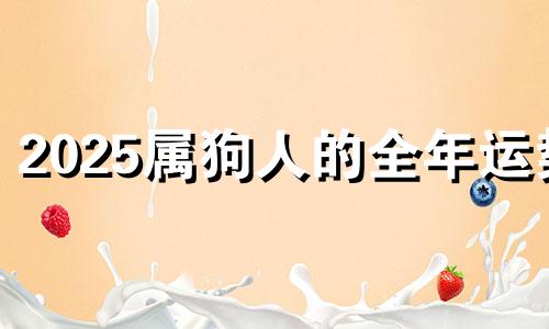 2025属狗人的全年运势 2025属狗全年运势