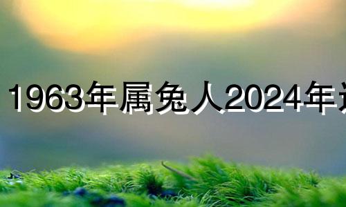 1963年属兔人2024年运势 1963年兔人2024年运程